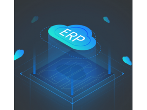 标准版-云ERP+财务管理